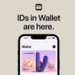 iphone permis wallet