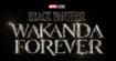 Black Panther Wakanda Forever : l'identité du nouveau superhéros restera secrète jusqu'à la sortie du film