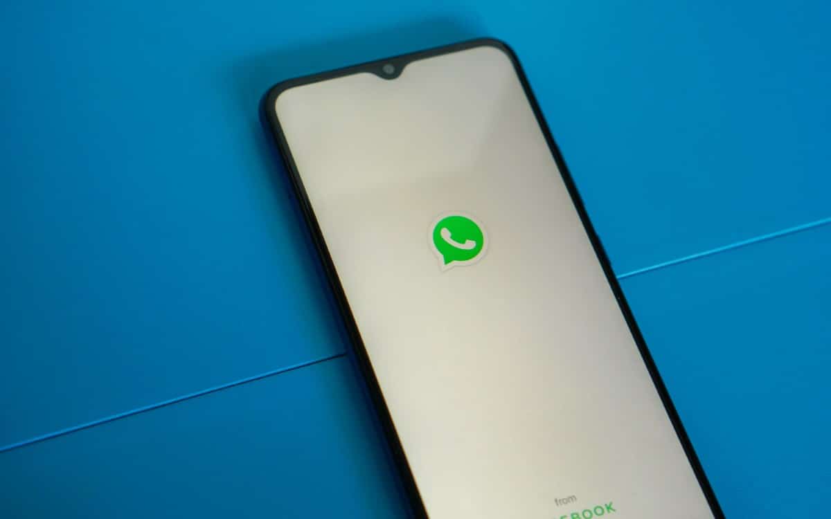 WhatsApp vuole attirare professionisti lanciando un abbonamento Premium