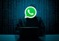 whatsapp base donnees numeros