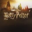 Harry Potter série Max