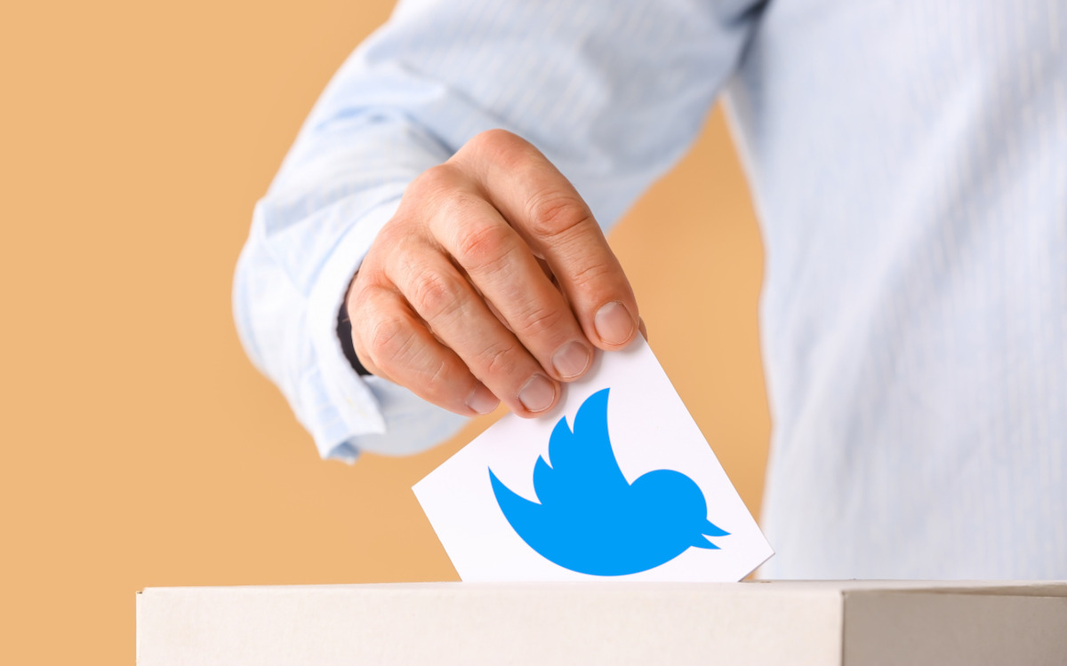 twitter blue interdit election